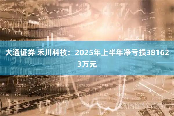 大通证券 禾川科技：2025年上半年净亏损381623万元