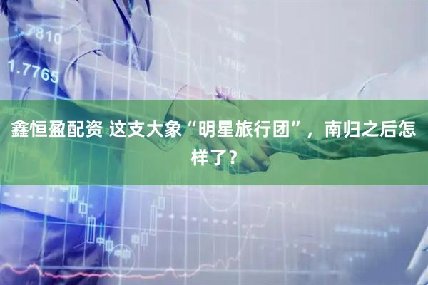 鑫恒盈配资 这支大象“明星旅行团”，南归之后怎样了？